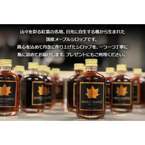 ふるさと納税 チロリン村特製・日光のメープルシ...の詳細画像1