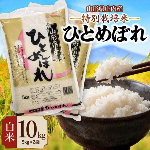 ふるさと納税 【令和7年産】 特別栽培米 ひとめぼれ 精米 10kg (5kg×2袋)　山形県 庄内...