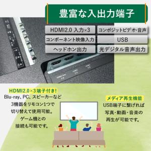 ふるさと納税 チューナーレステレビ 65V型 ...の詳細画像2