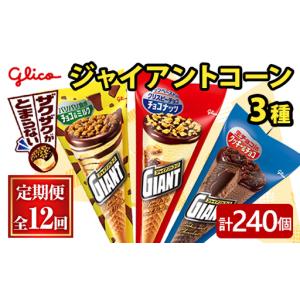 ふるさと納税 ジャイアントコーン 3種 計240個 12ヶ月定期便 グリコ スイーツ 【アイス】【ho1714】 茨城県常陸大宮市