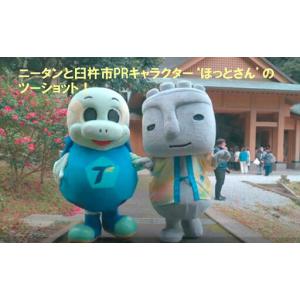 ふるさと納税 大分トリニータ公式マスコットぬい...の詳細画像1