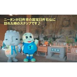 ふるさと納税 大分トリニータ公式マスコットぬい...の詳細画像2