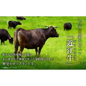 ふるさと納税 【 12回定期便 】 近江牛2k...の詳細画像1