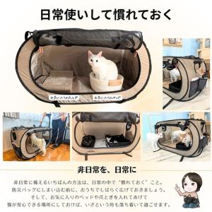 ふるさと納税 ネコのための防災DXセット ポー...の詳細画像4