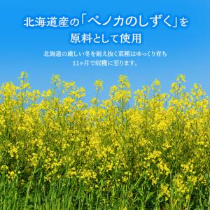 ふるさと納税 菜種油 北海道産 一番搾り 10...の詳細画像1