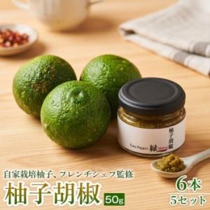 ふるさと納税 【ひとさじで料理が引き締まる】柚子胡椒(瓶)50g ×6本 5セット【1736721】 兵庫県神河町