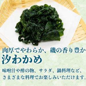 ふるさと納税 わかめ 二種 セット 汐わかめ ...の詳細画像2