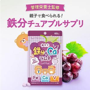 ふるさと納税 しっかり鉄分ラムネ 6袋 550...の詳細画像2