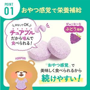 ふるさと納税 しっかり鉄分ラムネ 6袋 550...の詳細画像3