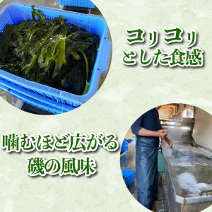 ふるさと納税 茎わかめ わかめ 1kg くき ...の詳細画像1