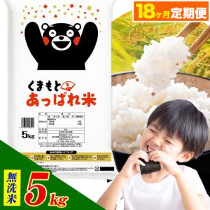 ふるさと納税 【18ヶ月定期便】熊本県産 くまもとあっぱれ米 ブレンド米 5kg 無洗米《お申込み翌月から出荷》 熊本県荒尾市