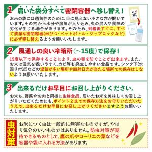 ふるさと納税 【18ヶ月定期便】熊本県産 くま...の詳細画像4