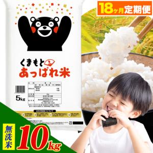 ふるさと納税 【18ヶ月定期便】熊本県産 くまもとあっぱれ米 ブレンド米 10kg 無洗米《お申込み翌月から出荷》 熊本県荒尾市
