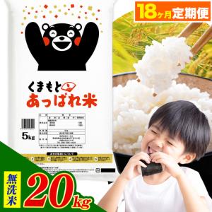 ふるさと納税 【18ヶ月定期便】熊本県産 くまもとあっぱれ米 ブレンド米 20kg 無洗米《お申込み翌月から出荷》 熊本県荒尾市