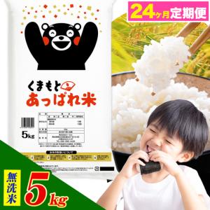 ふるさと納税 【24ヶ月定期便】熊本県産 くまもとあっぱれ米 ブレンド米 5kg 無洗米《お申込み翌月から出荷》 熊本県荒尾市