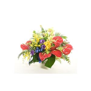 ふるさと納税 花 フラワーアレンジメント 蘭 花 神奈川県平塚市