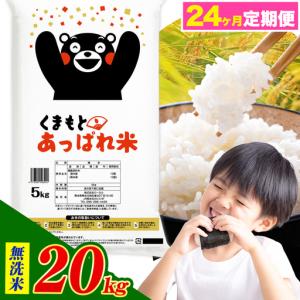 ふるさと納税 【24ヶ月定期便】熊本県産 くまもとあっぱれ米 ブレンド米 20kg 無洗米《お申込み翌月から出荷》 熊本県荒尾市