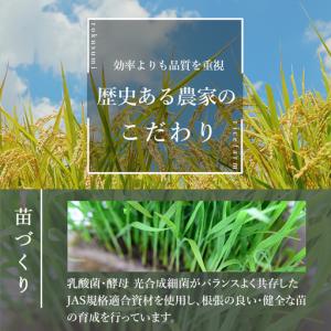ふるさと納税 【令和8年産 新米】<先行予約受...の詳細画像1