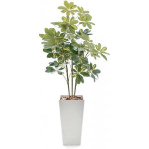 ふるさと納税 人工観葉植物 カポック斑入り 140cm 樹脂鉢Lサイズ白 SC触媒加工済 兵庫県神戸市