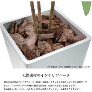 ふるさと納税 人工観葉植物 カポック斑入り 1...の詳細画像3