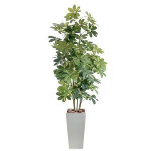ふるさと納税 人工観葉植物 カポック斑入り 18...の商品画像