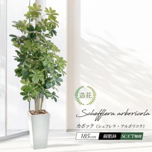 ふるさと納税 人工観葉植物 カポック斑入り 1...の詳細画像1