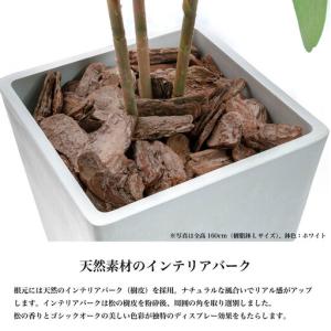 ふるさと納税 人工観葉植物 カポック斑入り 1...の詳細画像3
