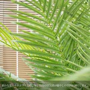 ふるさと納税 人工観葉植物 アレカパーム140...の詳細画像1