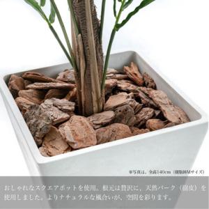 ふるさと納税 人工観葉植物 アレカパーム140...の詳細画像2
