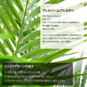 ふるさと納税 人工観葉植物 アレカパーム140...の詳細画像4