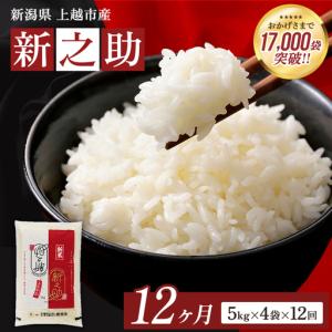ふるさと納税 【先行予約・定期便】新之助 無洗米 上越産 20kg 12か月 新之助 新潟県上越市