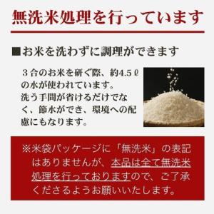 ふるさと納税 【先行予約・定期便】新之助 無洗...の詳細画像1