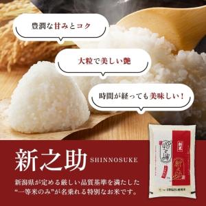 ふるさと納税 【先行予約・定期便】新之助 無洗...の詳細画像3