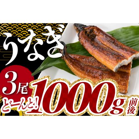 ふるさと納税 A1526.うなぎの蒲焼3尾(計1,000g前後)『1〜2ヶ月前後でお届け!!』【CH...
