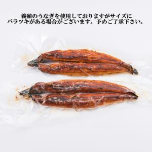 ふるさと納税 A1526.うなぎの蒲焼3尾(計...の詳細画像1