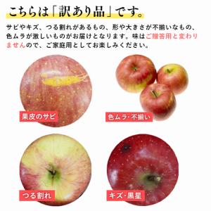 ふるさと納税 りんご 【2026年12月発送開...の詳細画像1