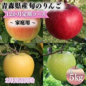 ふるさと納税 りんご 【2027年2月発送開始】12ヶ月定期便 約5kg 家庭用 りんご 青森県平川市