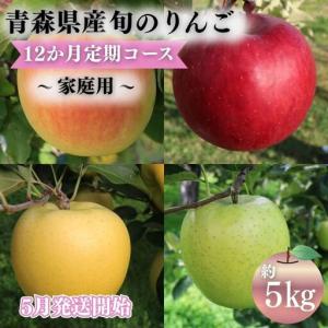 ふるさと納税 りんご 【2027年5月発送開始】12ヶ月定期便 約5kg 家庭用 りんご 青森県平川市