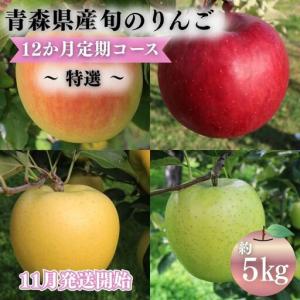 ふるさと納税 りんご 【2026年11月発送開始】12ヶ月定期便 約5kg 特選 りんご 青森県平川市