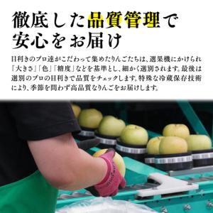ふるさと納税 りんご 【2026年11月発送開...の詳細画像1
