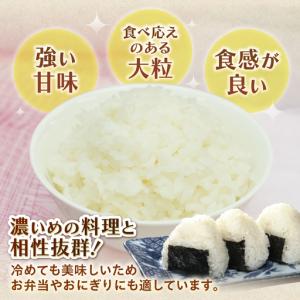 ふるさと納税 令和8年産 にじのきらめき 20...の詳細画像1