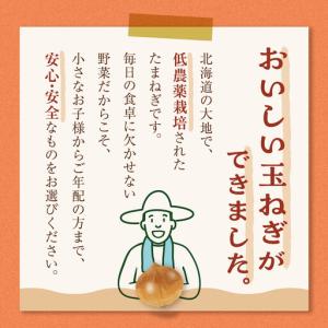 ふるさと納税 【先行予約】農家直送 低農薬 旭...の詳細画像3