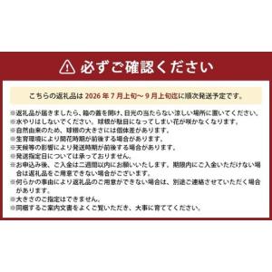 ふるさと納税 竹田市産サフラン球根 6個セット...の詳細画像1