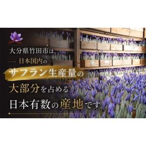 ふるさと納税 竹田市産サフラン球根 6個セット...の詳細画像3