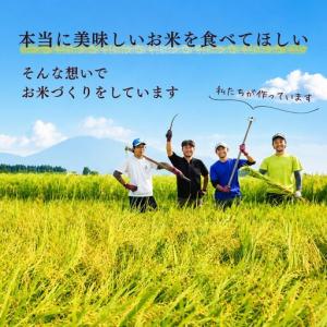 ふるさと納税 《2026年10月開始》【定期便...の詳細画像4