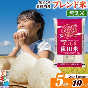ふるさと納税 米《定期便10ヶ月》ブレンド米【無洗米】精米 5kg（5kg×1袋）秋田県美郷町産 秋田県美郷町