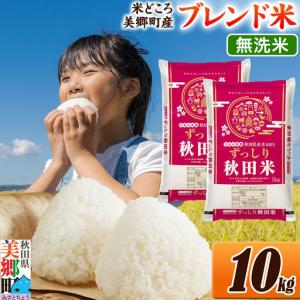 ふるさと納税 米 ブレンド米【無洗米】精米 10kg（5kg×2袋）秋田県美郷町産 秋田県美郷町