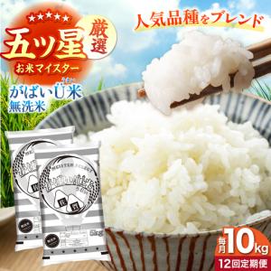 ふるさと納税 【全12回定期便】がばいU米（うまい）無洗米 10kg 【大塚米穀店】[HBL160] 佐賀県江北町