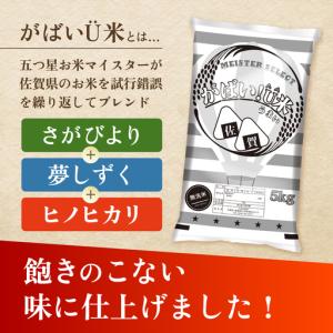 ふるさと納税 【全12回定期便】がばいU米(う...の詳細画像2