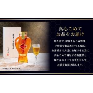 ふるさと納税 < R8年熊本地震復興支援 >【...の詳細画像4